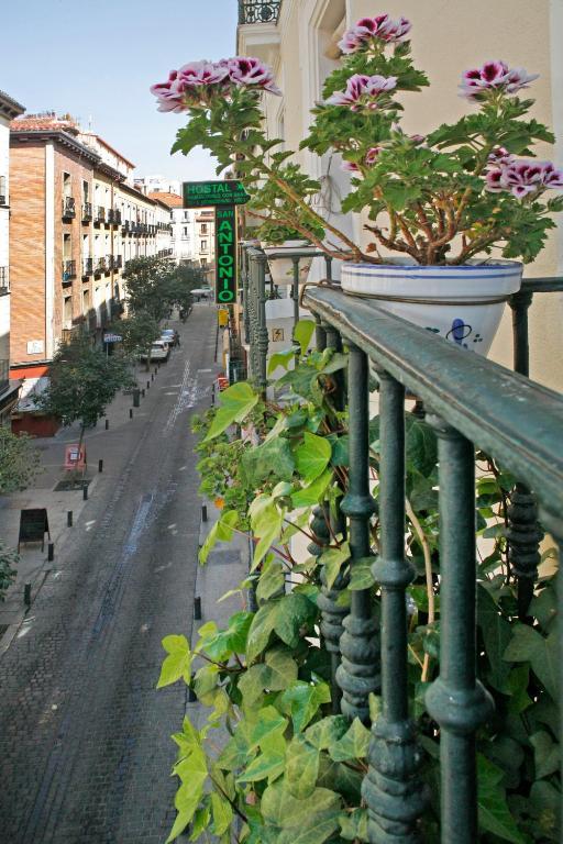 Hostal San Antonio Μαδρίτη Εξωτερικό φωτογραφία